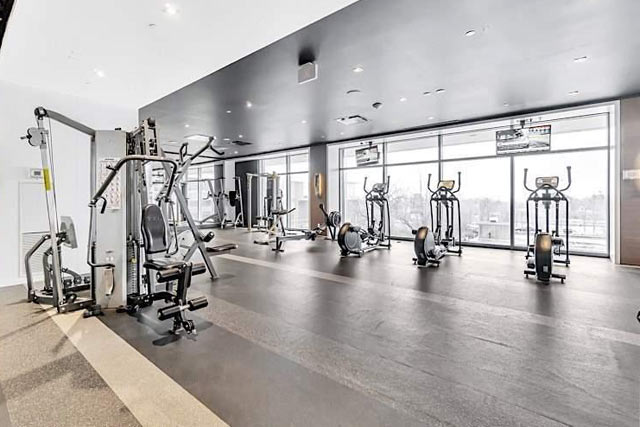 Fitness